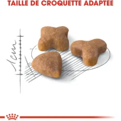 Croquettes pour chat adulte avec une sensibilité digestive Royal Canin Sensible 33 - 2 kg