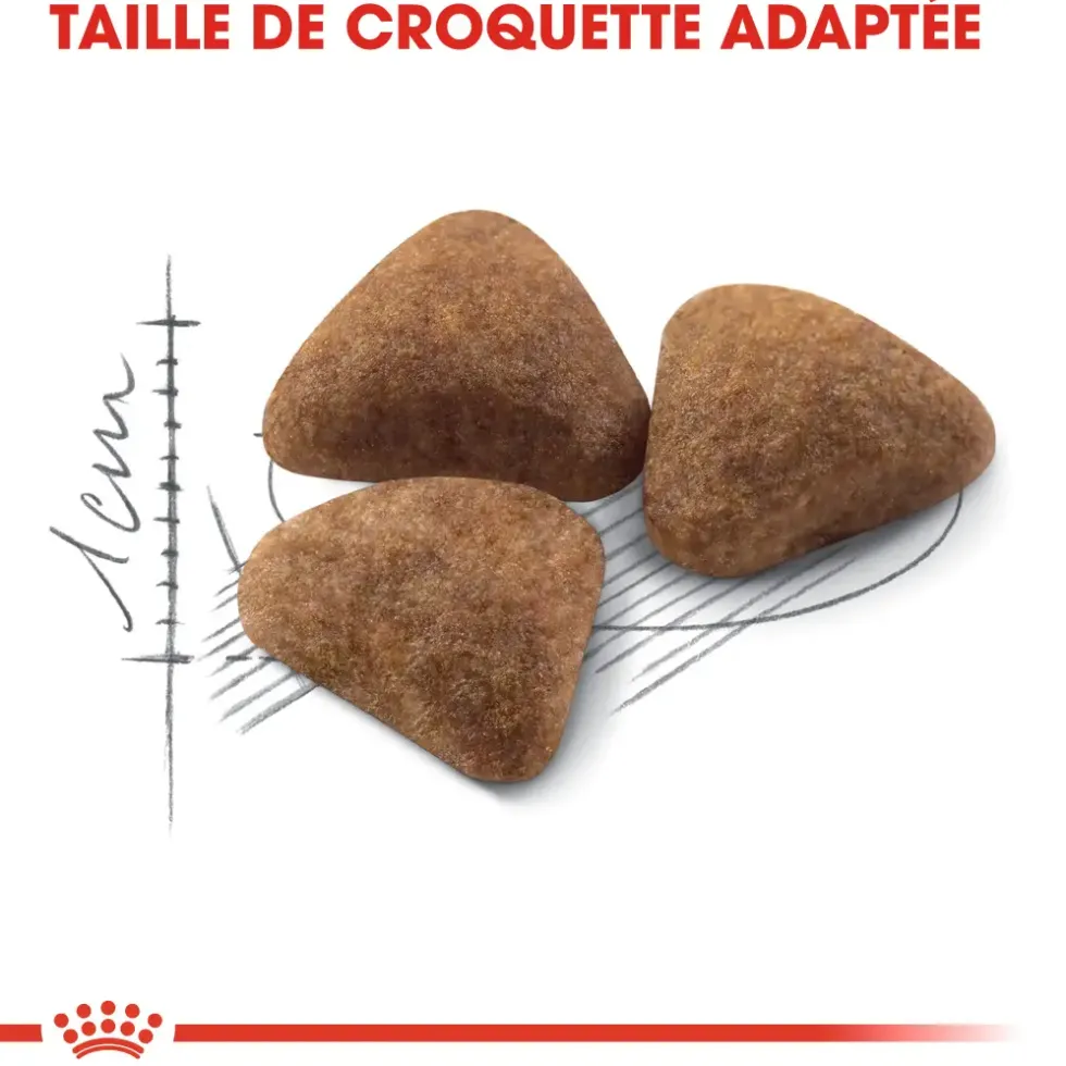 Croquettes pour chat adulte d'intérieur Royal Canin Indoor 27 - 4 kg