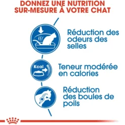 Croquettes pour chat adulte d'intérieur Royal Canin Indoor 27 - 4 kg