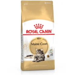 Croquettes pour chat adulte Maine Coon Royal Canin - 2 kg