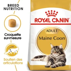 Croquettes pour chat adulte Maine Coon Royal Canin - 2 kg