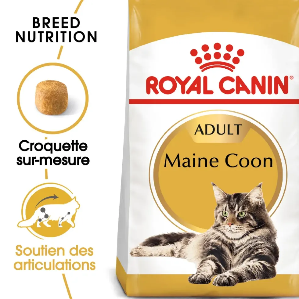 Croquettes pour chat adulte Maine Coon Royal Canin - 2 kg