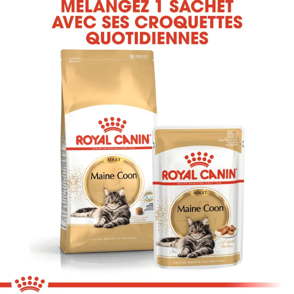 Croquettes pour chat adulte Maine Coon Royal Canin - 2 kg