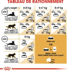 Croquettes pour chat adulte Maine Coon Royal Canin - 2 kg