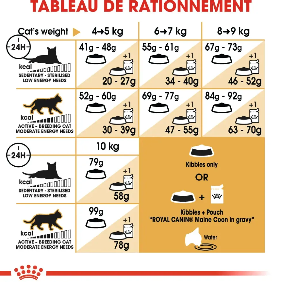 Croquettes pour chat adulte Maine Coon Royal Canin - 2 kg