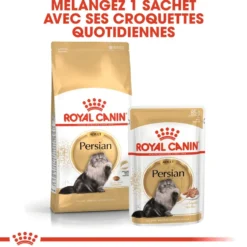 Croquettes pour chat adulte Persan Royal Canin Persian Adult - 4 kg