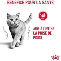 Croquettes pour chat adulte Royal Canin Light Weight Care - 3 kg