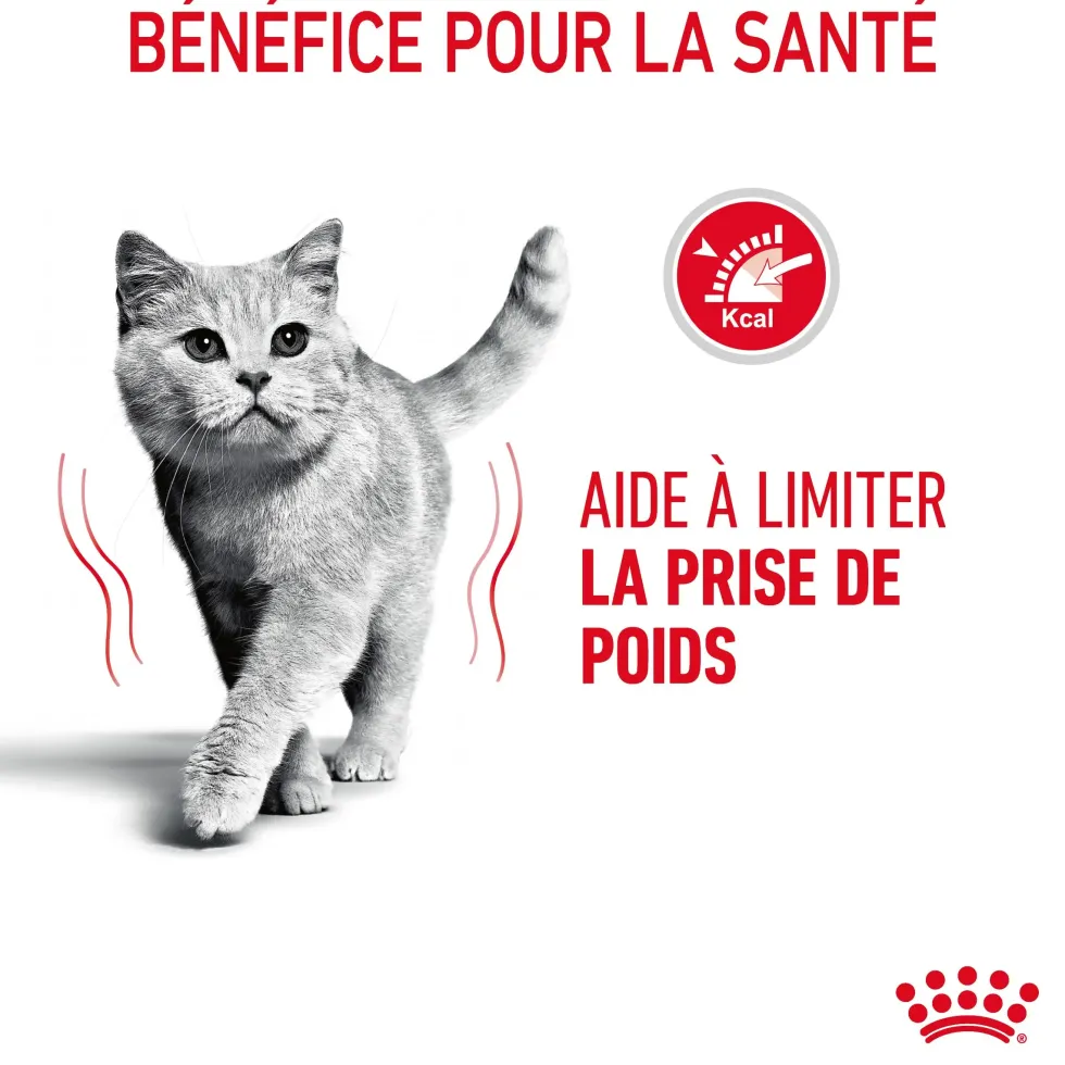Croquettes pour chat adulte Royal Canin Light Weight Care - 3 kg