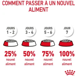 Croquettes pour chat adulte Royal Canin Light Weight Care - 3 kg