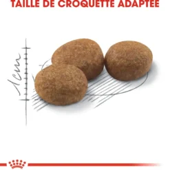 Croquettes pour chat adulte stérilisé Royal Canin Sterilised 37 - 10 kg