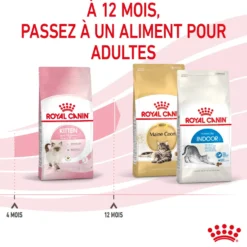 Croquettes pour chaton Royal Canin Kitten Croissance - 4 kg