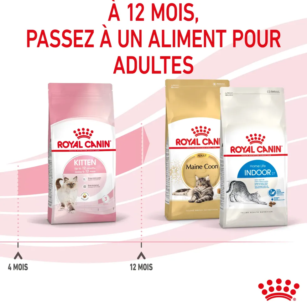 Croquettes pour chaton Royal Canin Kitten Croissance - 4 kg
