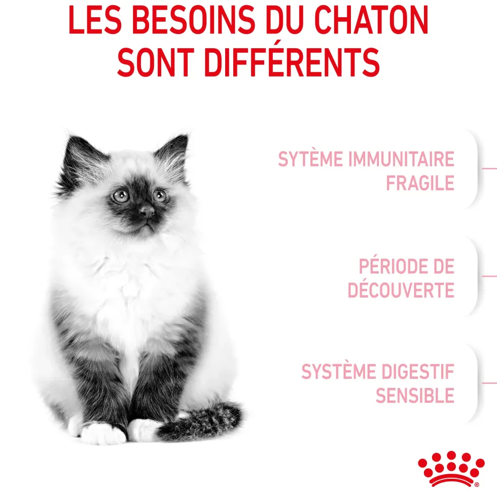 Croquettes pour chaton Royal Canin Kitten Croissance - 4 kg