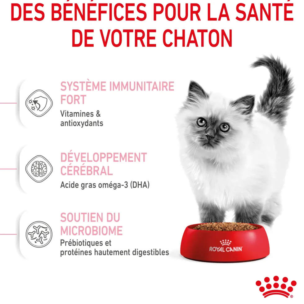 Croquettes pour chaton Royal Canin Kitten Croissance - 4 kg
