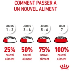 Croquettes pour chaton Royal Canin Kitten Croissance - 4 kg