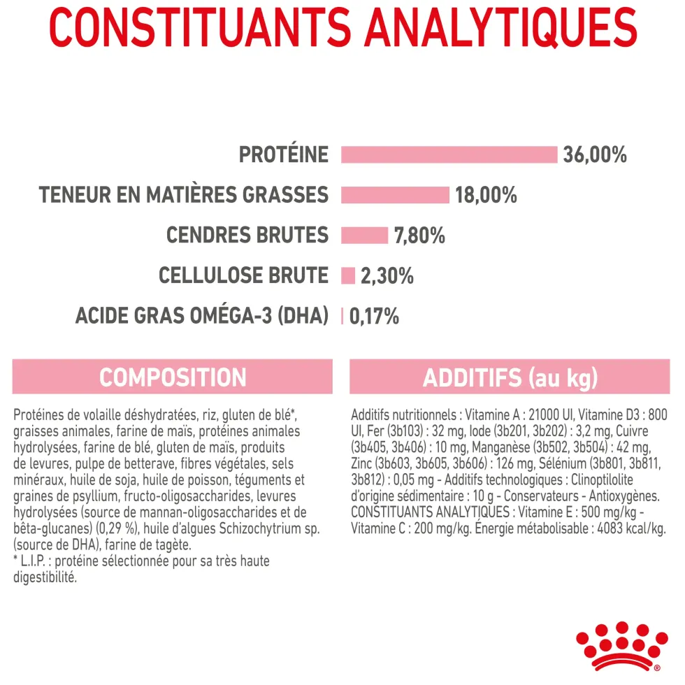 Croquettes pour chaton Royal Canin Kitten Croissance - 4 kg