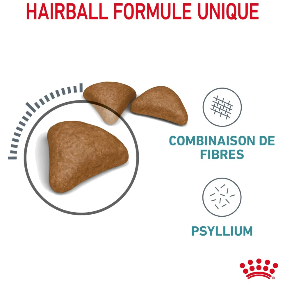 Croquettes pour chat Royal Canin Hairball Care - 4 kg