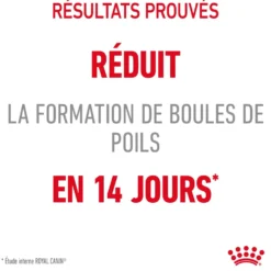 Croquettes pour chat Royal Canin Hairball Care - 4 kg