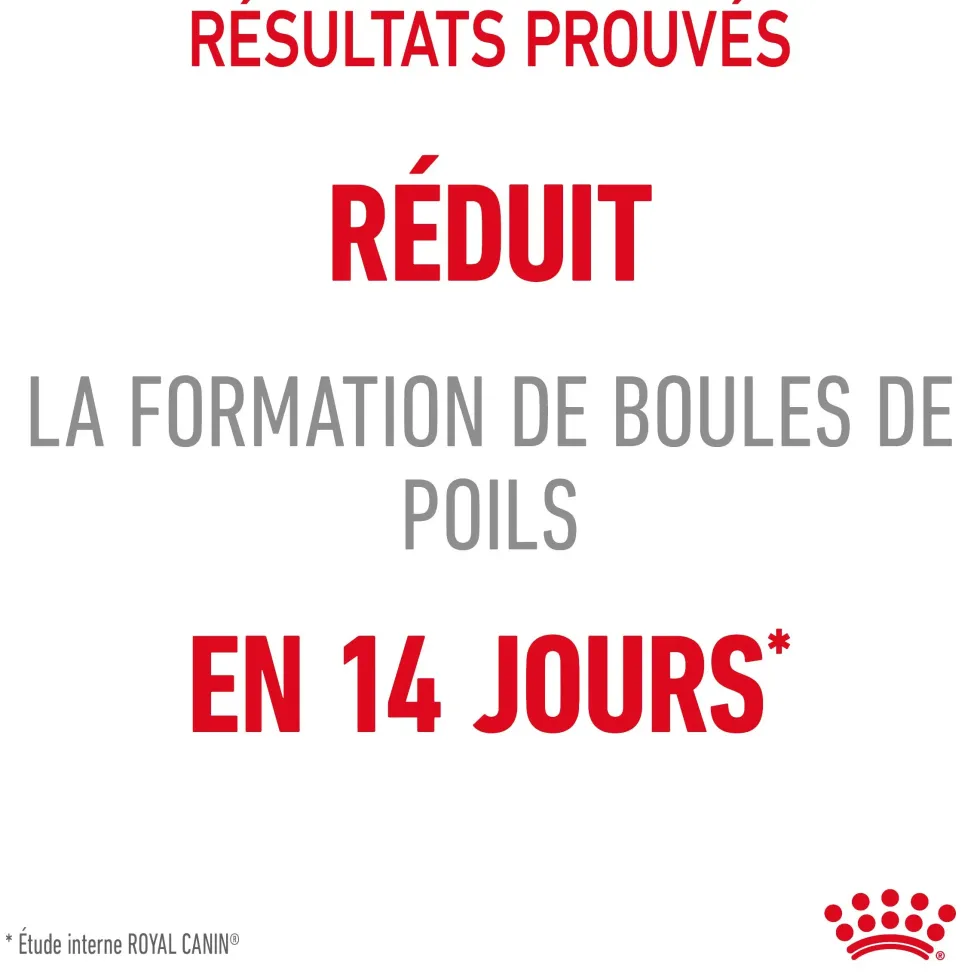 Croquettes pour chat Royal Canin Hairball Care - 4 kg