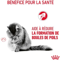 Croquettes pour chat Royal Canin Hairball Care - 4 kg