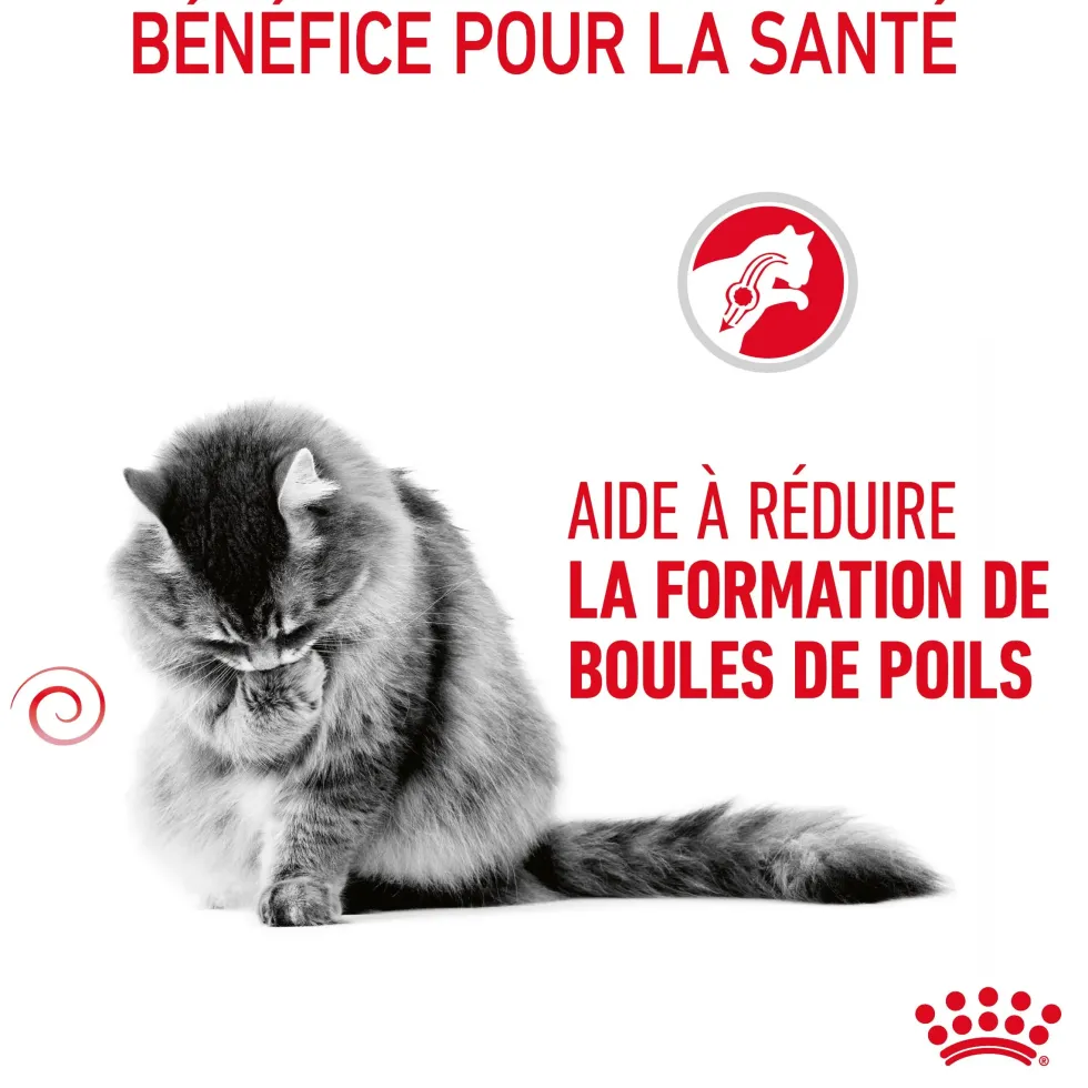 Croquettes pour chat Royal Canin Hairball Care - 4 kg