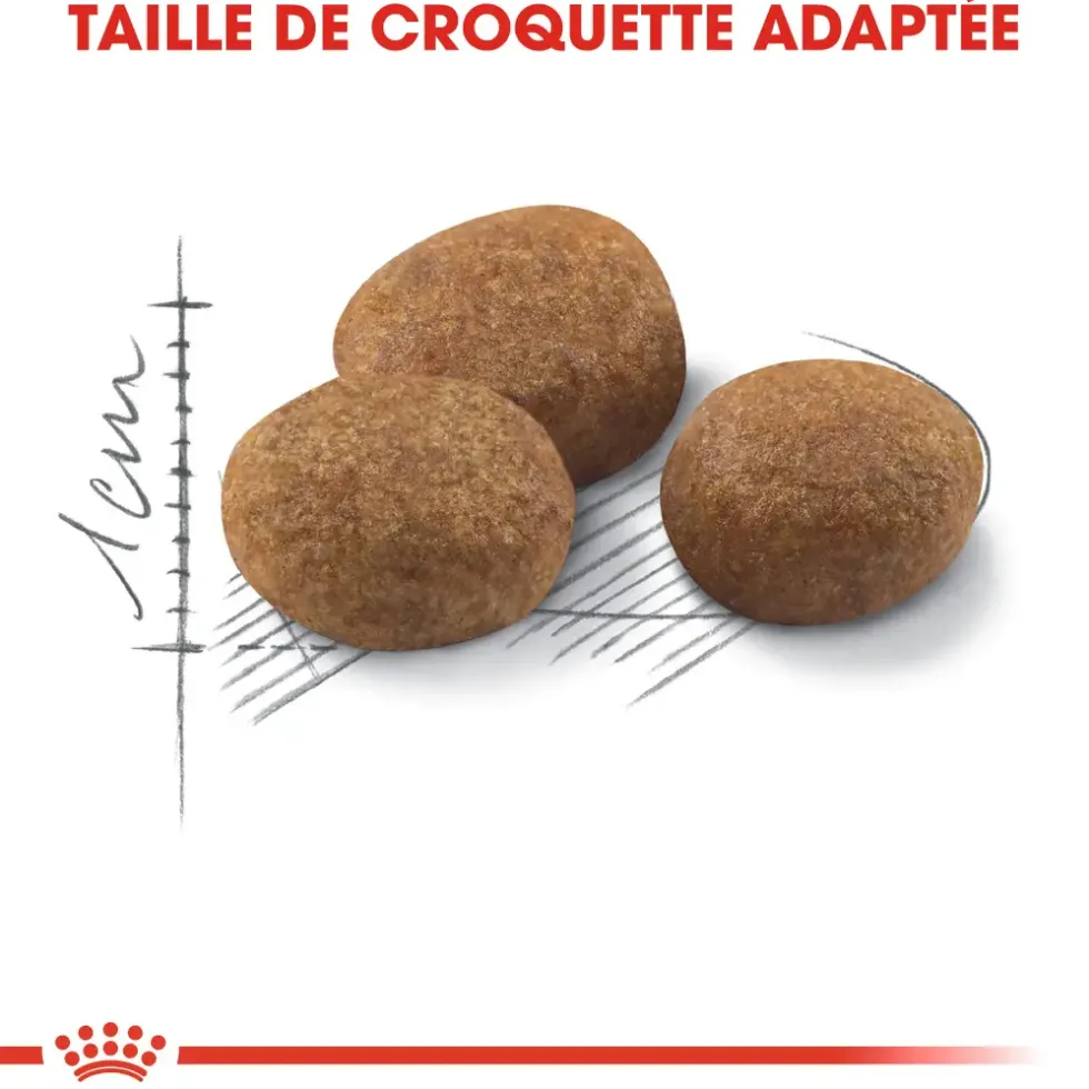 Croquettes pour chat stérilisé Royal Canin Sterilised 7+ - 3,5 kg