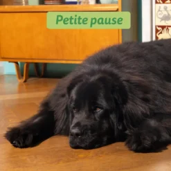 Croquettes pour chien adulte à l'agneau sans céréales Edgard & Cooper - 7 kg
