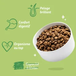 Croquettes pour chien adulte à l'agneau sans céréales Edgard & Cooper - 7 kg