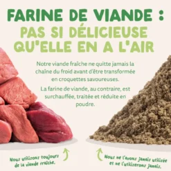 Croquettes pour chien adulte à l'agneau sans céréales Edgard & Cooper - 7 kg