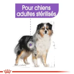 Croquettes pour chien adulte stérilisé de taille moyenne Royal Canin Medium Sterilised Adult - 12 kg
