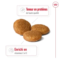 Croquettes pour chien adulte de taille moyenne Royal Canin Medium Adult - 3 kg