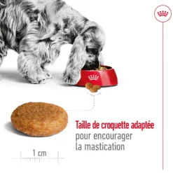Croquettes pour chien adulte de taille moyenne Royal Canin Medium Adult - 3 kg