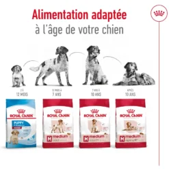 Croquettes pour chien adulte de taille moyenne Royal Canin Medium Adult - 3 kg