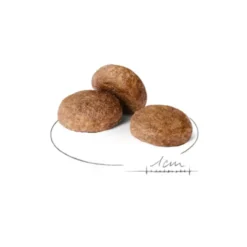 Croquettes pour chien adulte de taille moyenne Royal Canin Medium Adult +7 - 15 kg