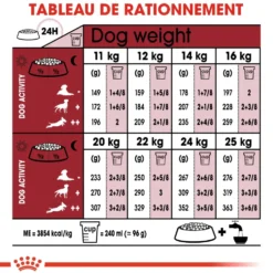 Croquettes pour chien adulte de taille moyenne Royal Canin Medium Adult +7 - 15 kg