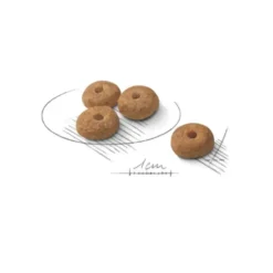 Croquettes pour chien adulte stérilisé de petite taille Royal Canin Mini Sterilised - 8 kg