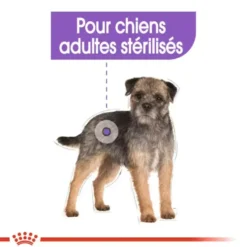 Croquettes pour chien adulte stérilisé de petite taille Royal Canin Mini Sterilised - 8 kg