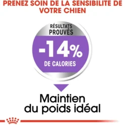 Croquettes pour chien adulte stérilisé de petite taille Royal Canin Mini Sterilised - 8 kg