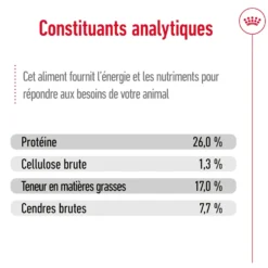 Croquettes pour chien adulte de grande race Royal Canin Maxi Adult - 12 kg