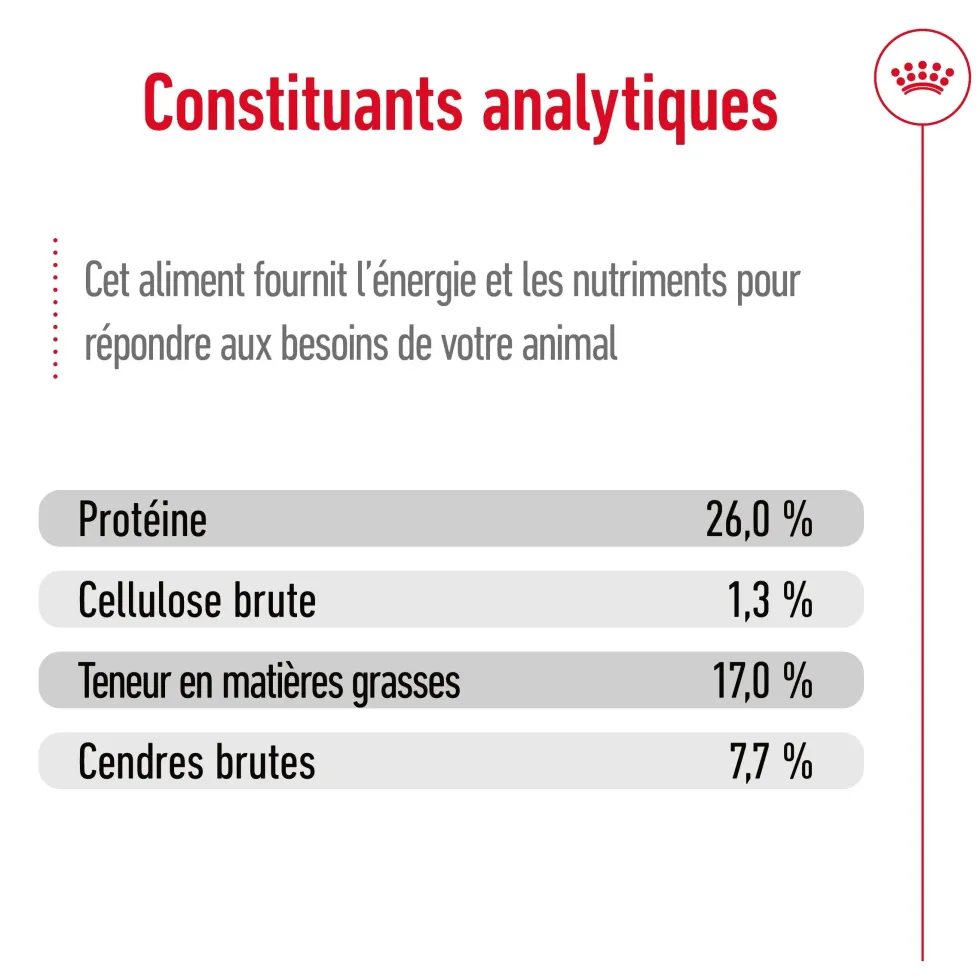 Croquettes pour chien adulte de grande race Royal Canin Maxi Adult - 12 kg