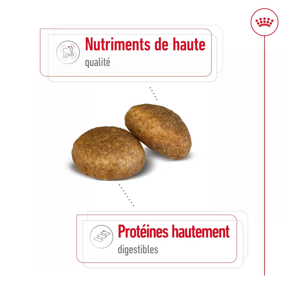 Croquettes pour chien adulte de grande race Royal Canin Maxi Adult - 12 kg