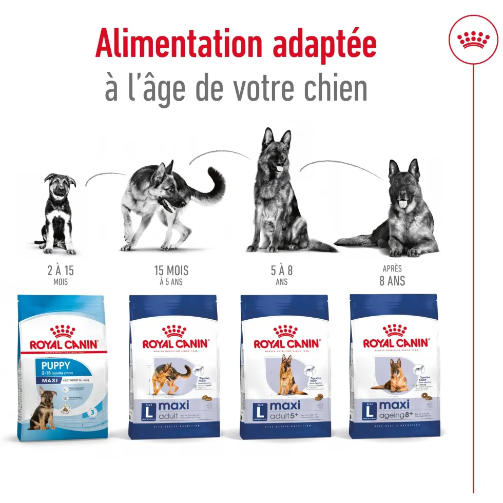 Croquettes pour chien adulte de grande race Royal Canin Maxi Adult - 12 kg