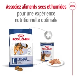 Croquettes pour chien adulte de grande race Royal Canin Maxi Adult - 12 kg