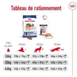 Croquettes pour chien adulte de grande race Royal Canin Maxi Adult - 12 kg