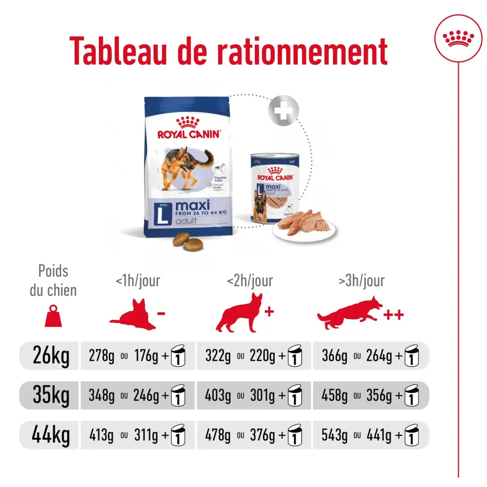 Croquettes pour chien adulte de grande race Royal Canin Maxi Adult - 12 kg