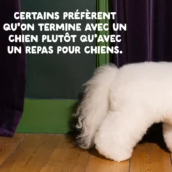 Croquettes pour chien adulte au saumon sans céréales Edgard & Cooper - 7 kg
