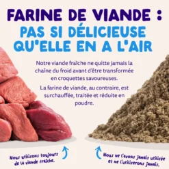 Croquettes pour chien adulte au saumon sans céréales Edgard & Cooper - 7 kg