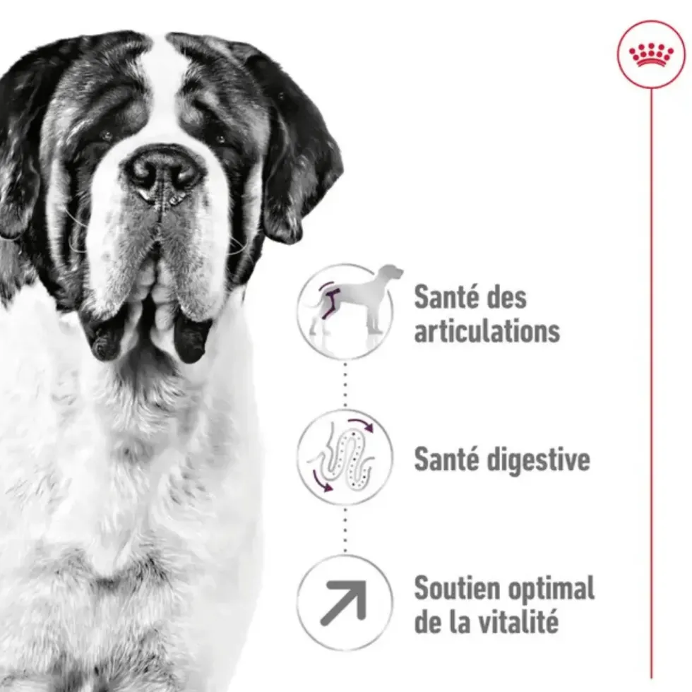 Croquettes pour chien adulte de grande taille Royal Canin Giant Adult - 15 kg