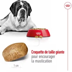 Croquettes pour chien adulte de grande taille Royal Canin Giant Adult - 15 kg