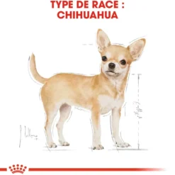Croquettes pour chien adulte Chihuahua Royal Canin - 3 kg